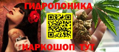 прущие крисы Усть-Илимск